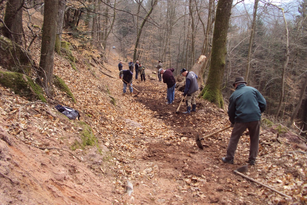 Activit S Du Club Club Vosgien De Dossenheim Sur Zinsel